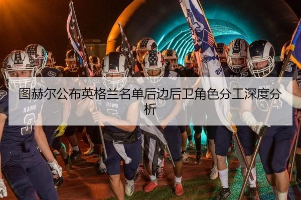 tu-he-er-gong-bu-ying-ge-lan-ming-dan-hou-bian-hou-wei-jue-se-fen-gong-shen-du-fen-xi-2-708.jpg